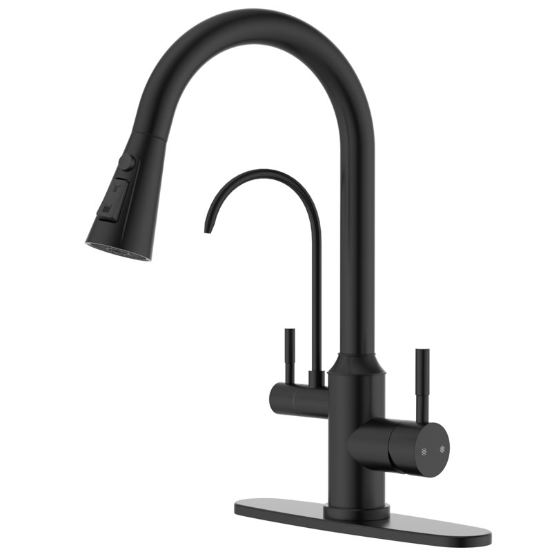 Robinet à 2 poignées avec purificateur d'eau High Arch, Noir mat