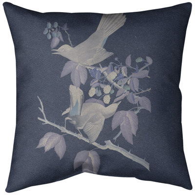 Cat Bird-Themed Throw Pillow with Insert – John James Audubon Collection, Double-Sided & Washable