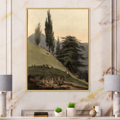 Vintage Images Of Old Trees II - Landscapes Canvas Wall Art