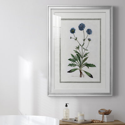 " Soft Botanical II " Painting Print