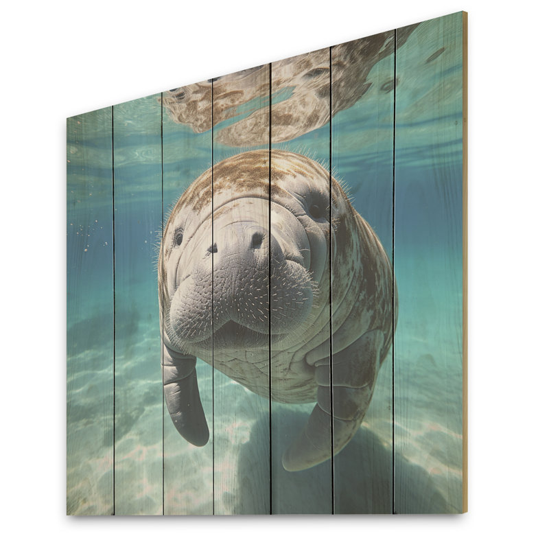 Curious Manatee Gaze I - Lamantin sur bois, H 25 po x l 25 po