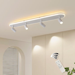 https://assets.wfcdn.com/im/47685774/resize-h300-w300%5Ecompr-r85/2593/259301399/White+LED+Adjustable+Fixed+Track+Head.jpg