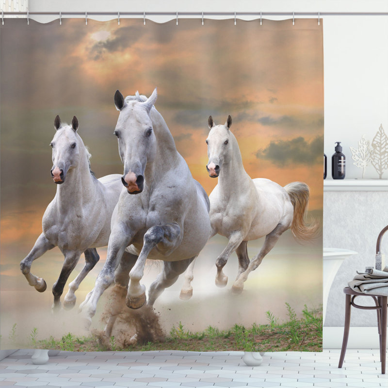 Shower Curtain with Hooks Included, 84" H x 69" W