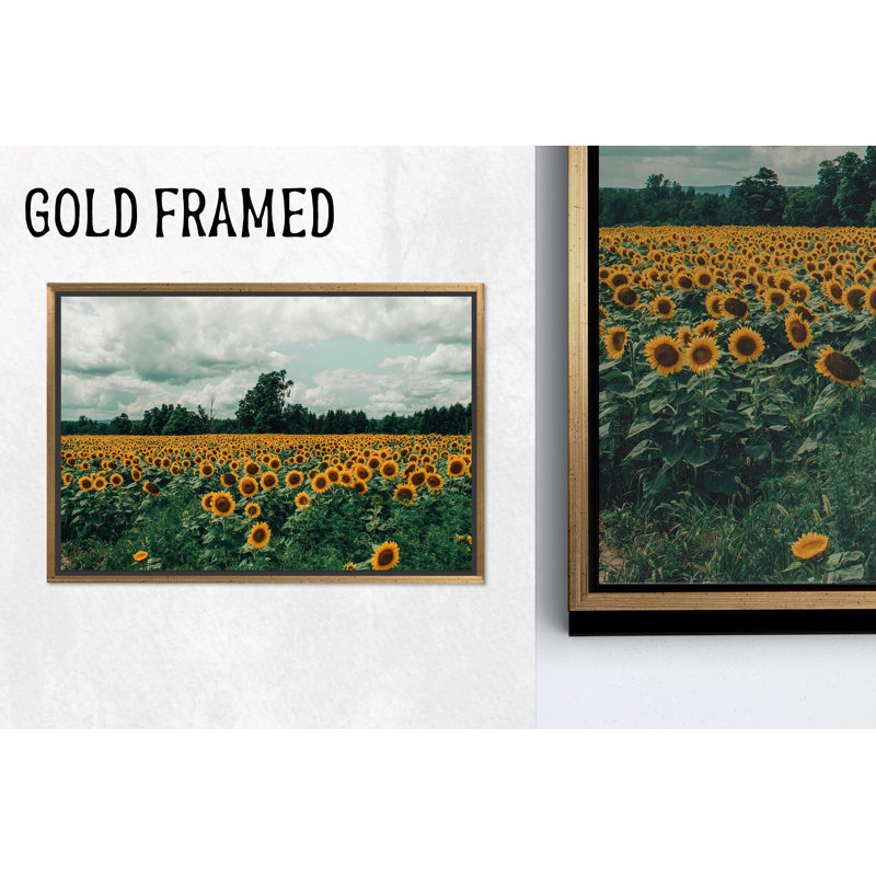 Élégante toile imprimée: art mural en verre trempé champ de tournesol, 1P encadrée d'or, 59,1 po H x 82,7 po l
