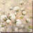 " Cotton Field II " by Julia Purinton-29608966-29422505