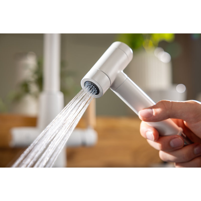 Click Modern Kitchen Hand Spray, Matte White