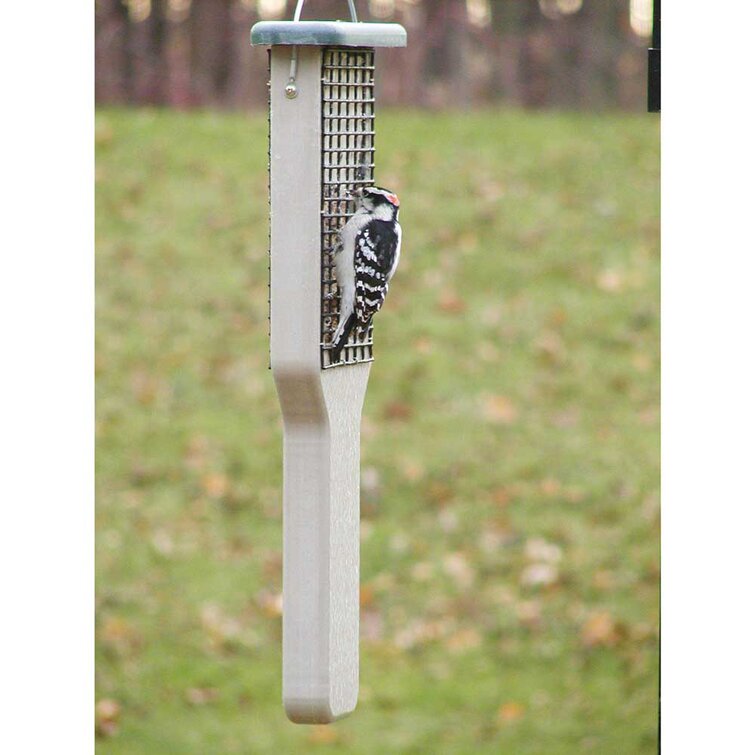 Kingsyard Mangeoire à oiseaux Suet - Wayfair Canada