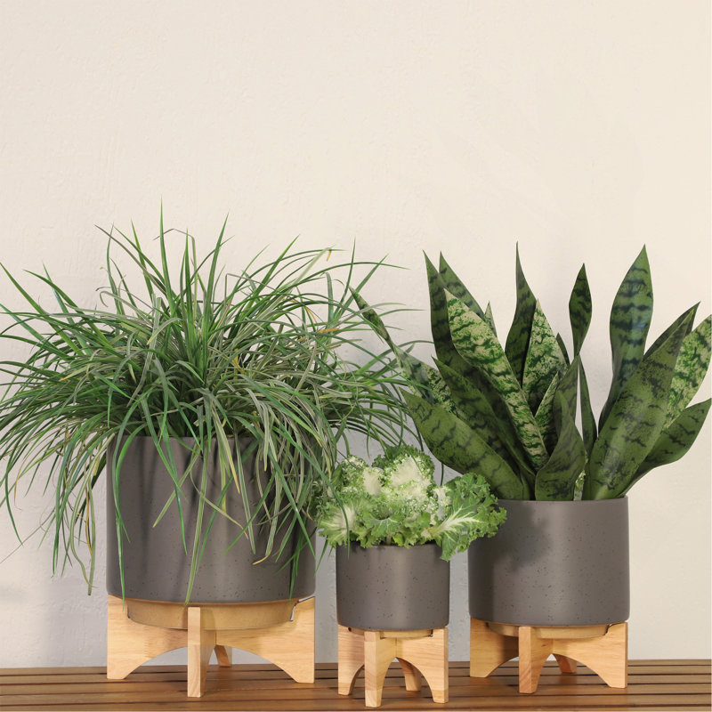 8" PLANTER W/ WOOD STAND, MATTE GRAY