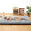 Matelas de futon simple / double Nasitip, matelas Tatami pliable pour lit de camp d'invité-1097165776-1097165773