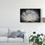 « white peacock portrait », reproduction de photo sur toile tendue-1638322165