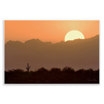 «Sunlit Desert Cactus», art mural par Dennis Frates