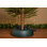Live Christmas Tree Stand - Hold Trees Up To 8Ft