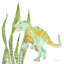 T-Rex 2886284-1054142820-1054142831-1064558803