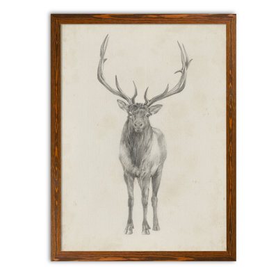 " Elk Study " by Paul Cezanne