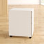 Monica 39cm Wide 3 -Drawer Mobile Steel File Cabinet