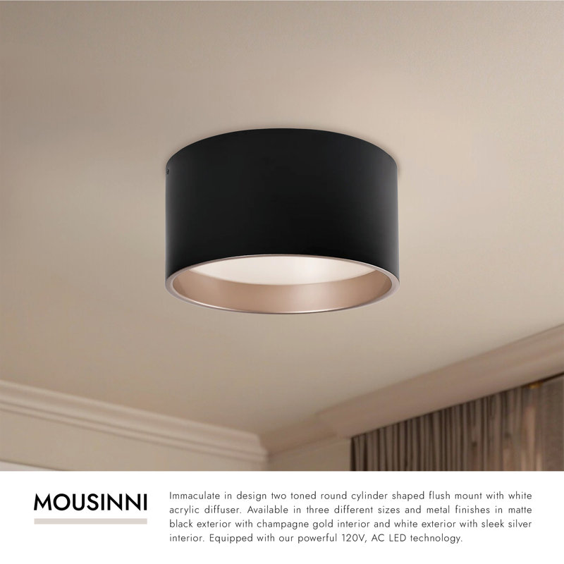 Mousinni 1 - Light LED Flush Mount, White, White