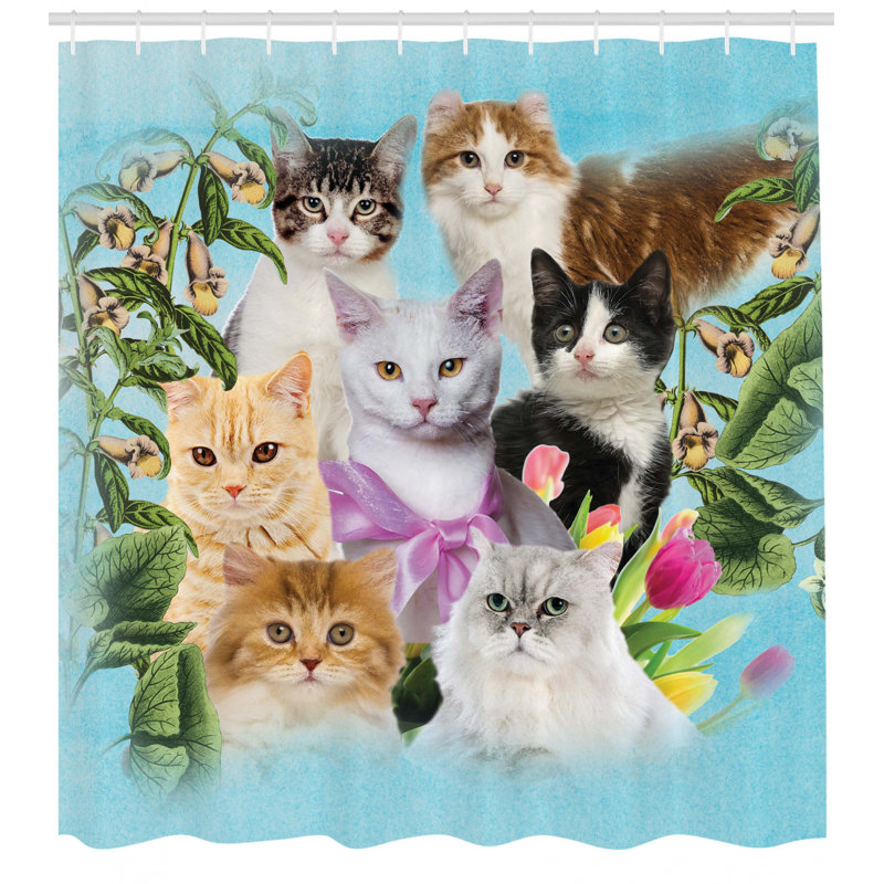 Shower Curtain with Hooks Included, 70" H x 69" W