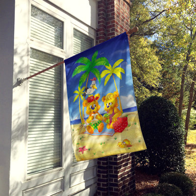 Double Sided 40'' H x 28'' W Polyester House Flag