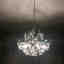 Photos des clients 3 de 8