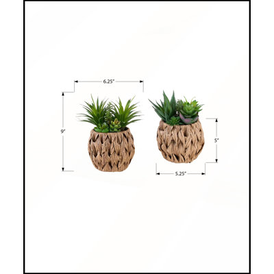 Ensemble de 2 plantes succulentes artificielles contemporaines dans des paniers tressés bruns, parfait pour une décoration de table moderne et une verdure nécessitant peu d'entretien.