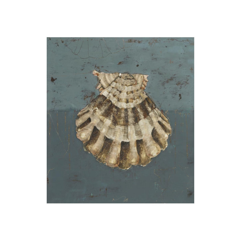 Seashell C Print by Sarah Atkinson, Knife Gel