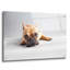 «Sad Frenchie» par Susan Sabo-1737875876