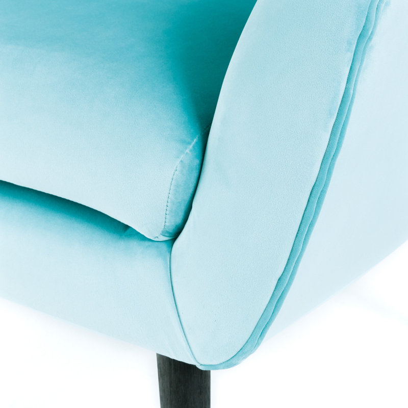 Danney Tufted Wingback Armchair with Flared Arms and Rubberwood Legs,Accent Chair,Living Room Chair, Light Blue Velvet, Black