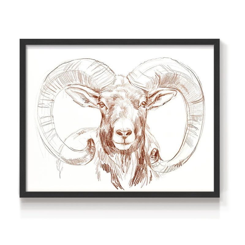 Big Horn Sheep I -Framed Print - Restickable, Noir, noir, noir, noir, H 16 po x l 20 po