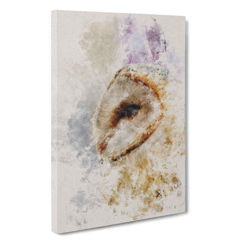Barn Owl Vol.5 - Wrapped Canvas, 50cm H x 35cm W x 3cm D