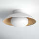 Jason Single Light Glass Flush Mount