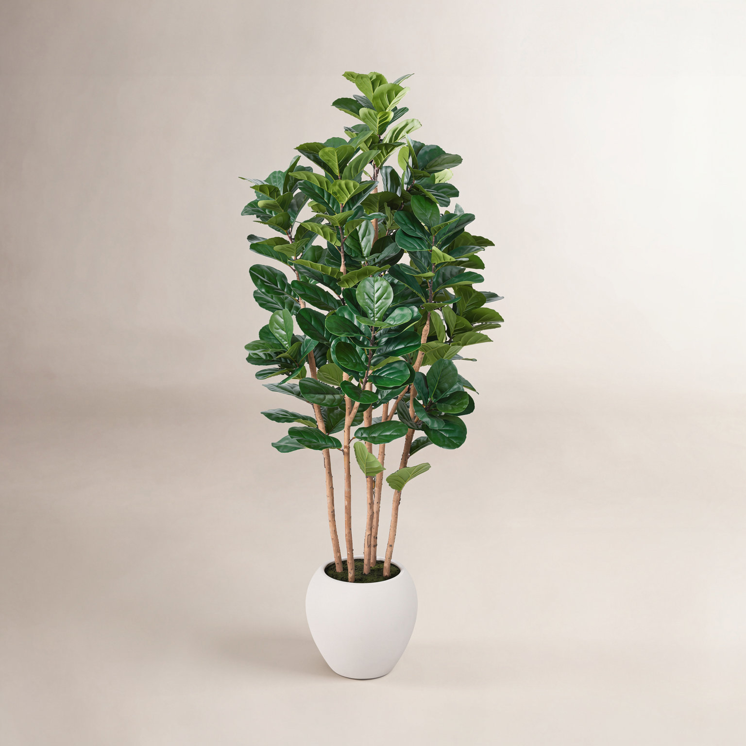 Artificial Fiddle Leaf Fig Tree With Real Wood Trunk And Large White Planter, Faux Fiddle Leaf Fig Plant For Living Room Office Home Decor