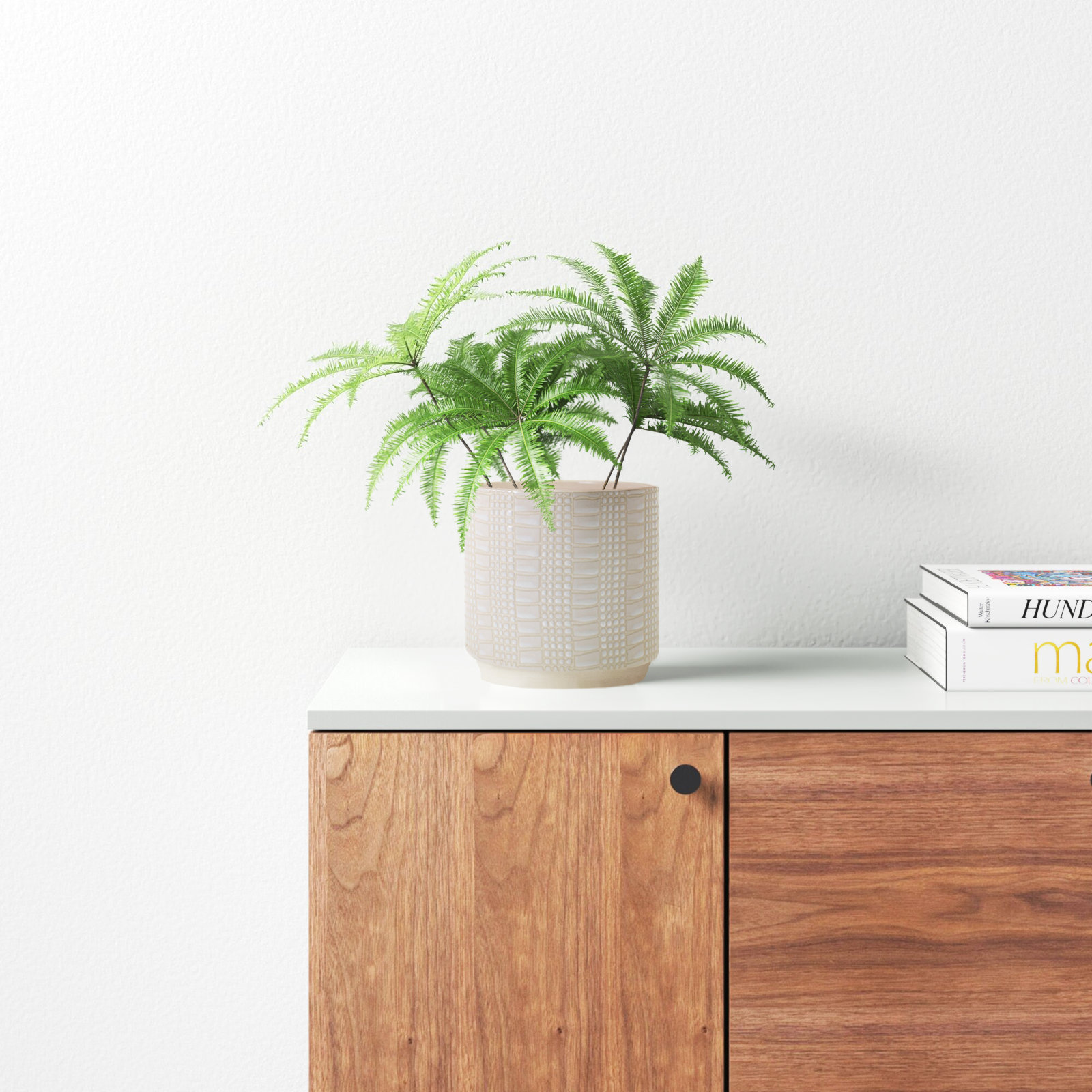 Derick 7" Ceramic Pot Planter, Off White