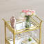 Basurto 46.8cm Bar Cabinet