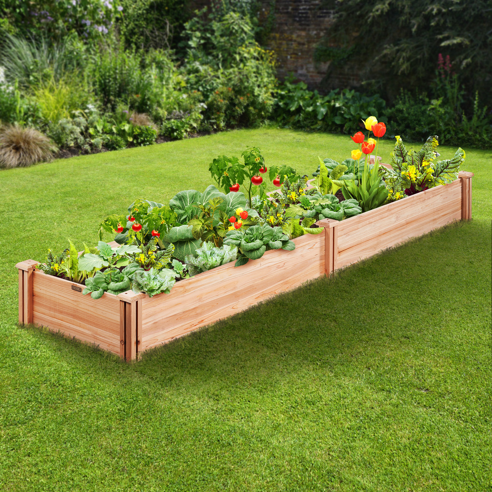 Arlmont & Co. Cassidie Wood Raised Garden Bed & Reviews 