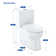 Belleze 1.5 Gallons GPF Back To Wall Toilets