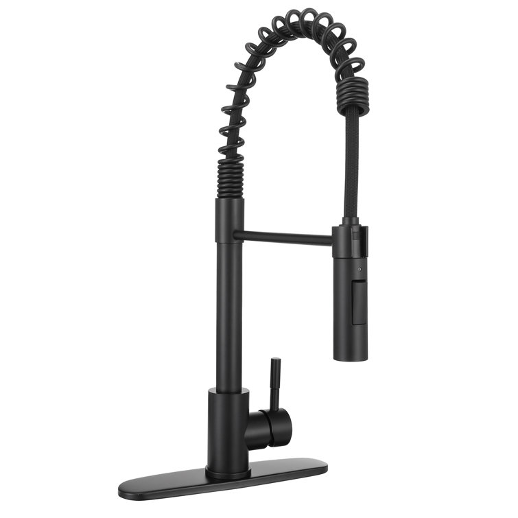 Pull Out Single Handle Kitchen Faucet