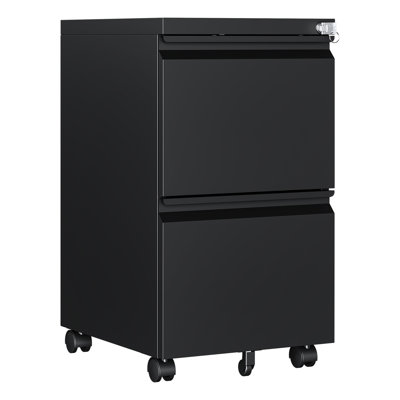Kristoher 2-Drawer Mobile Vertical Filing Cabinet(Fully Assembled)