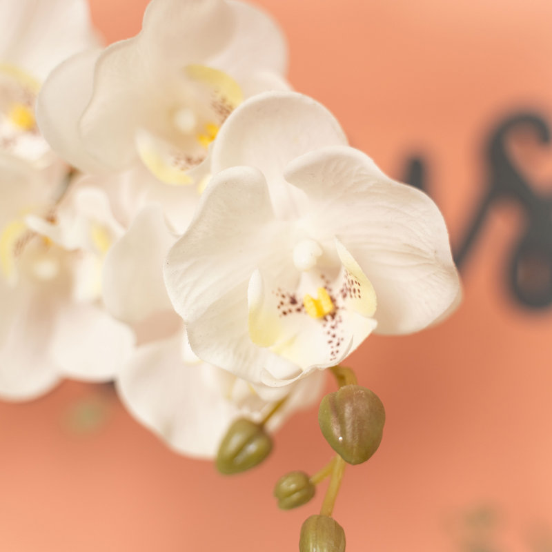 Pulvérisateur en faux orchidée phalaenopsis, Blanc