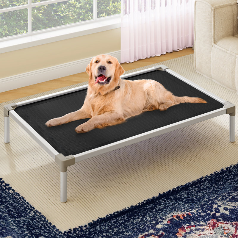 Lit surélevé pour chien avec pieds antidérapants, Noir, noir, noir, noir, H 7 po x l 42 po x P 30 po