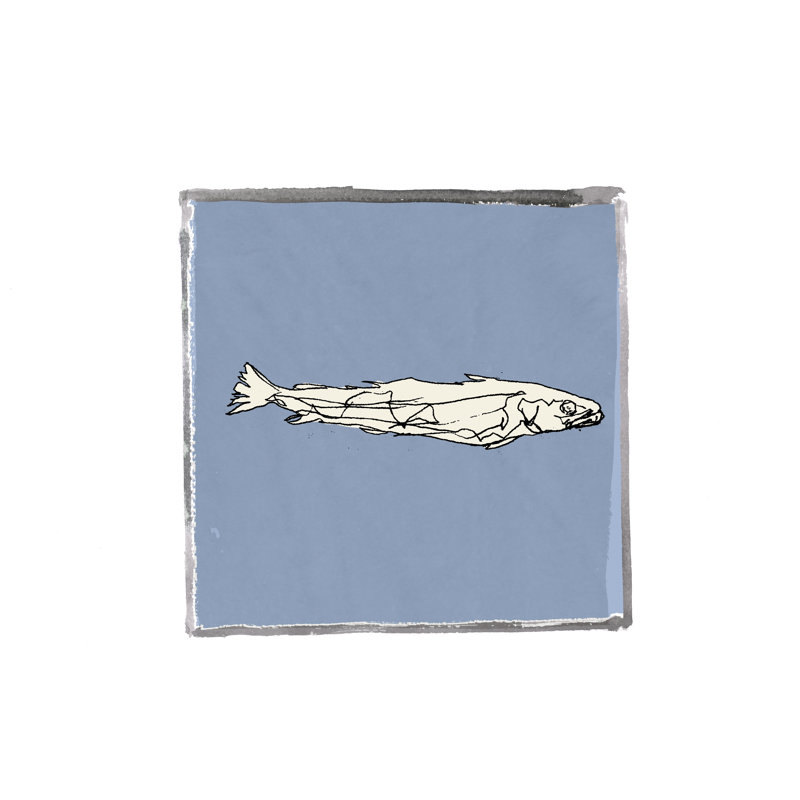 Block Print Fish I by Cartissi - Wrapped Canvas Painting, 51cm H x 51cm W