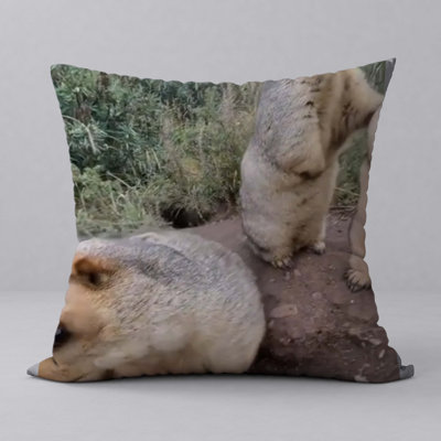 Reversible Throw Pillow