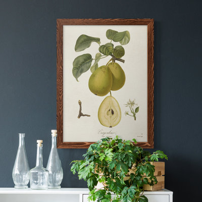 Toile encadrée de qualité supérieure Vintage Pears III - prête à être accrochée