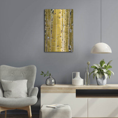 "Troncs Aspen" par Mark A Paulda