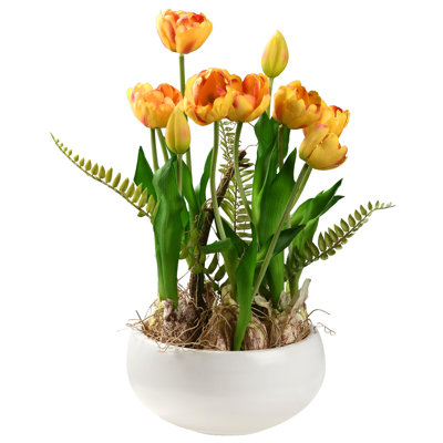 Arrangement floral de tulipes en pot