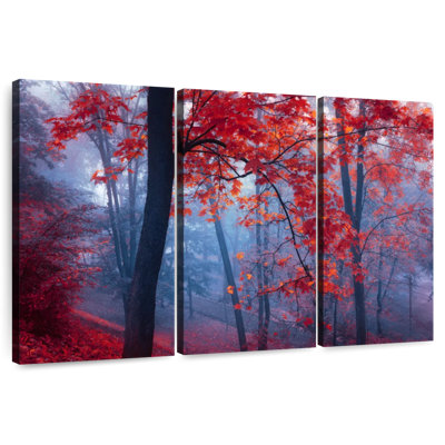 Alvord Foggy Red Maple Forest