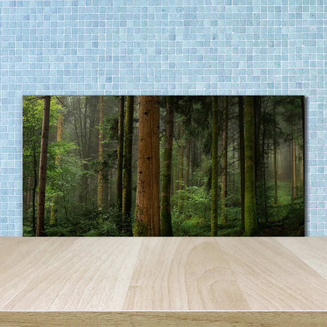 50 cm x 100 cm Glas Spritzschutzpaneel   in the Forest