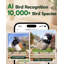 Mangeoire d'oiseaux en bois Visiogear Smart