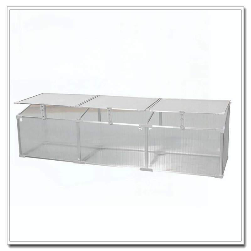 Serre en polycarbonate pour l'extérieur en hiver