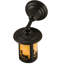 Rustic Lodge 1 - Light Armed Sconce