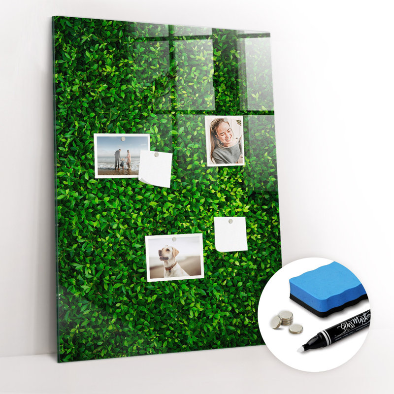 Magnetic Glass Dry Erase Board